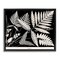Stupell Industries Overlapping Ferns on Black Floating Frame Design by Phillipa Katz